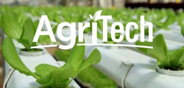 The future of Zimbabwe's Agricultural Industry powered by Internet of ...